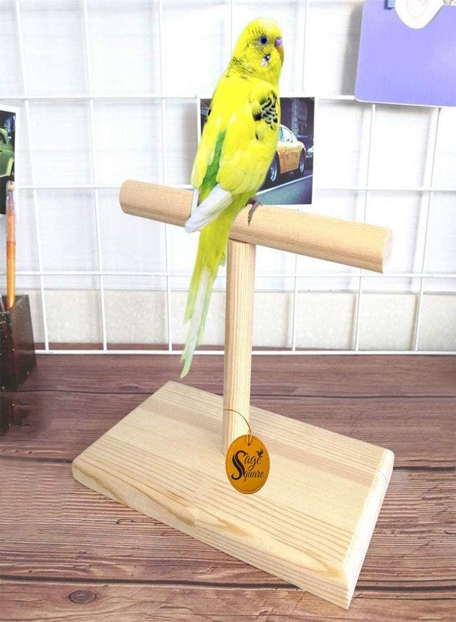 سايج سكوير طاولة تسلق خشبية طبيعية مربعة الشكل من خشب المريمية، مثالية للعب الطيور الصغيرة، تُوضع على القفص أو كقطعة إضافية. - Image 3